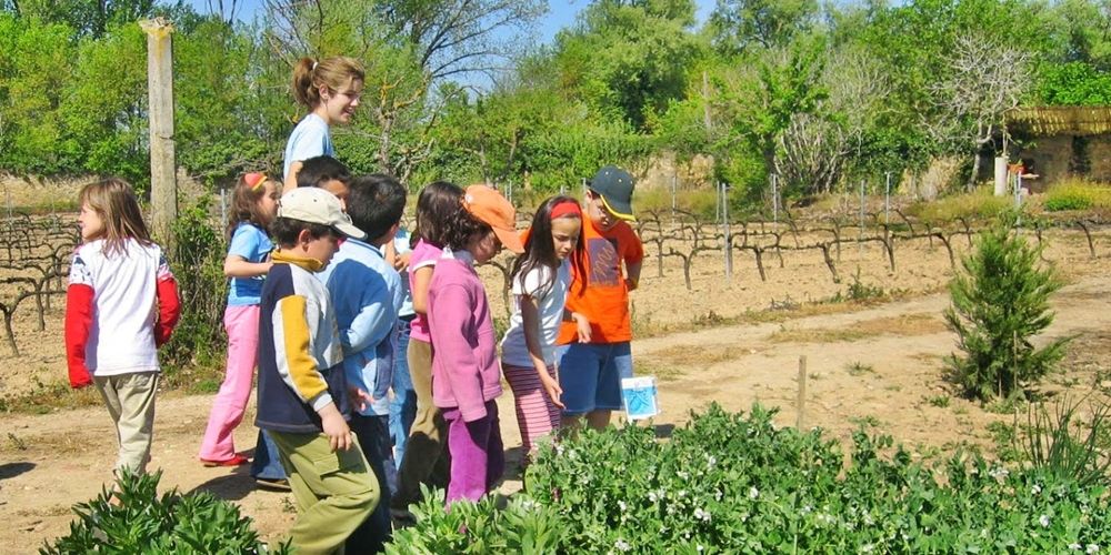 Las colonias de verano ya están preparadas